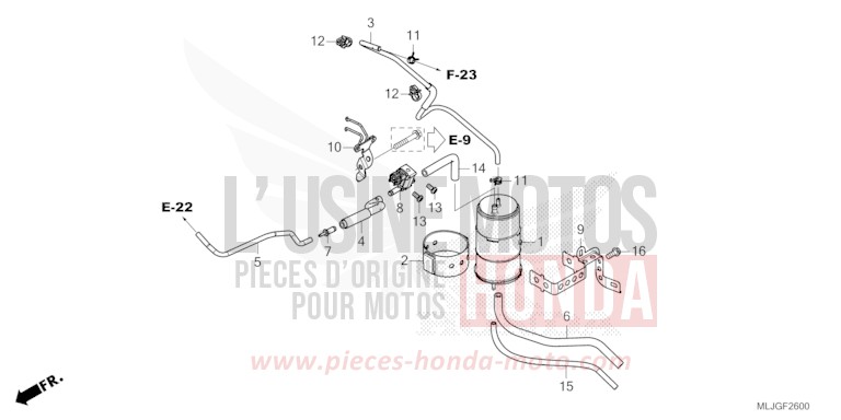 CUVETTE de Gold Wing PEARL DEEP MUD GRAY (NHC47) 2026